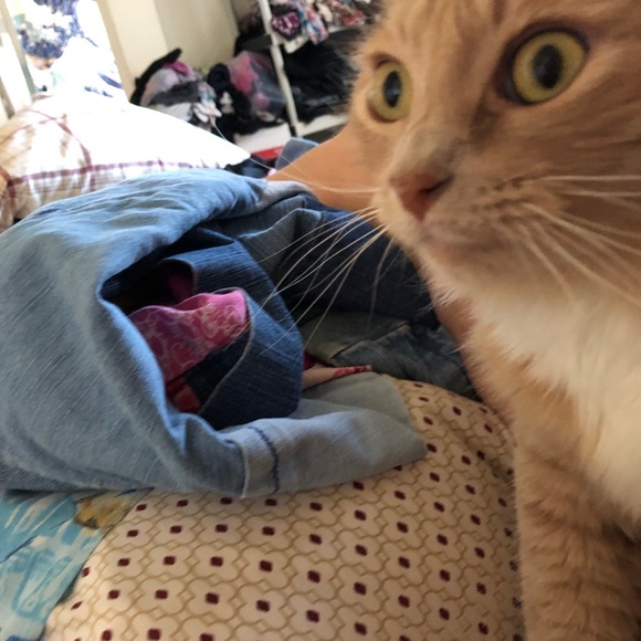 Great stuff - Picture 6 of 6